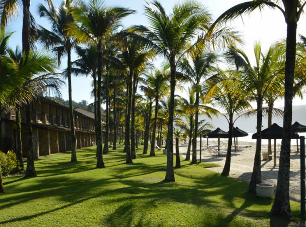 portobello-10G-630x467